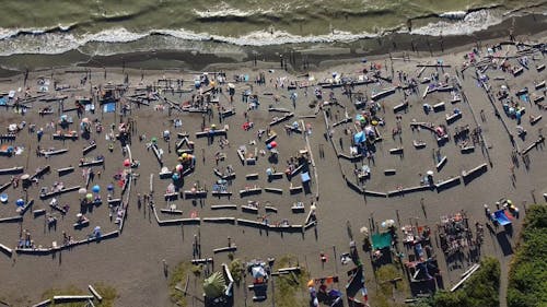 Aerial Footage of People Enjoying a Day at the Beach 