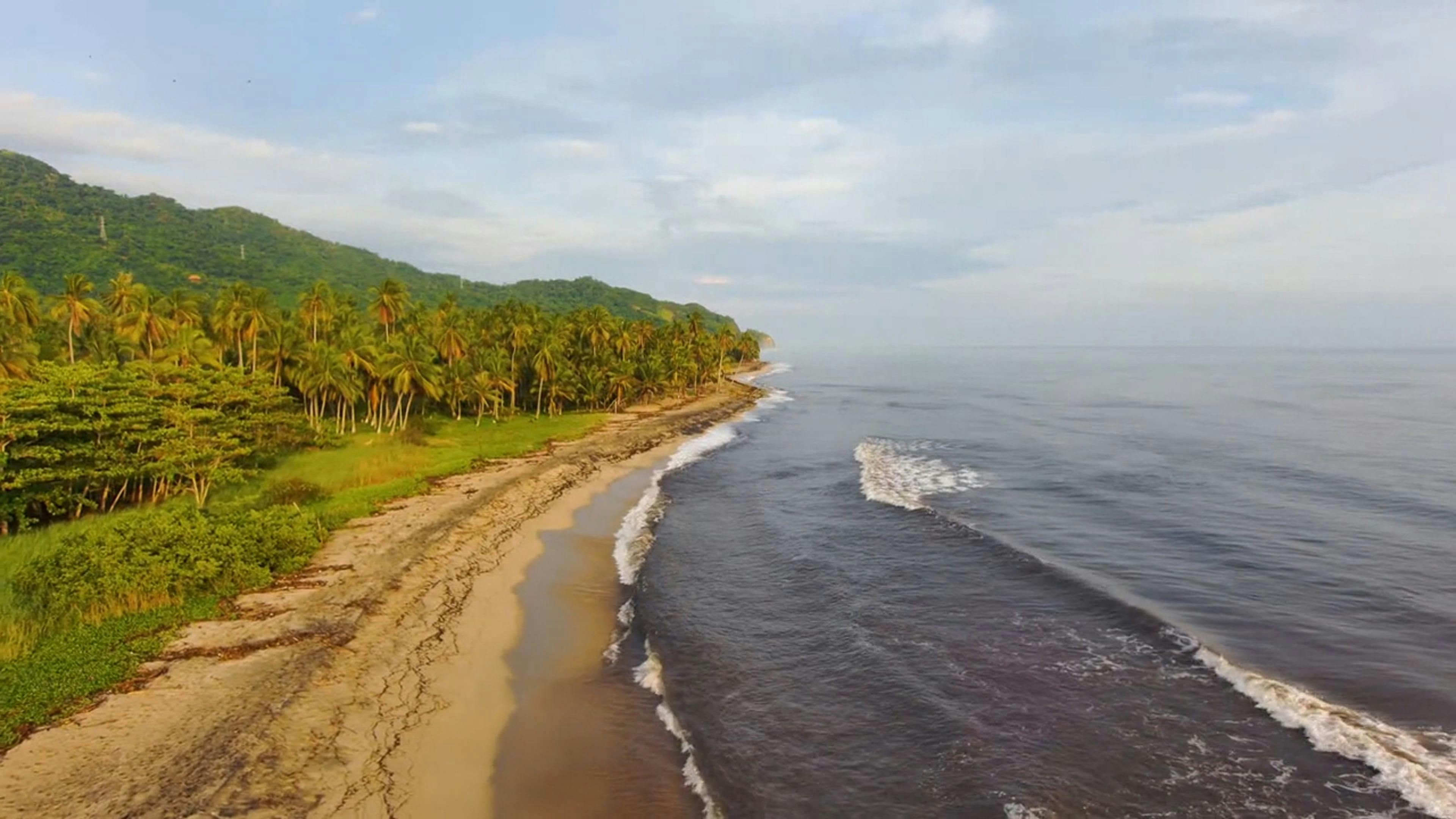 Video by Diana Milena Rodriguez