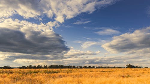 Time Lapse of Floating Clouds