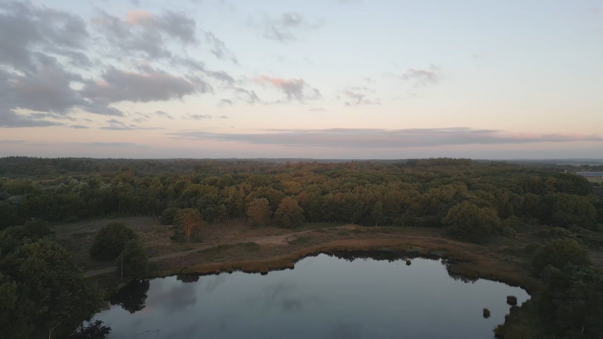 Drone Footage Of Forest Free Stock Video Footage Royalty Free 4k Hd