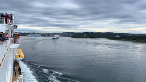 View on River from Board