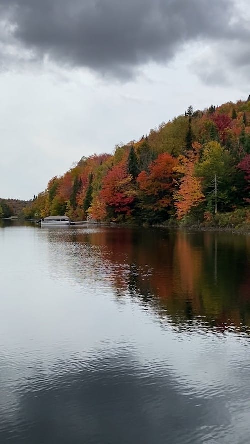 Lake and Trees in Autumn