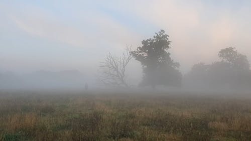 Man in Black Coat Walking in Fog