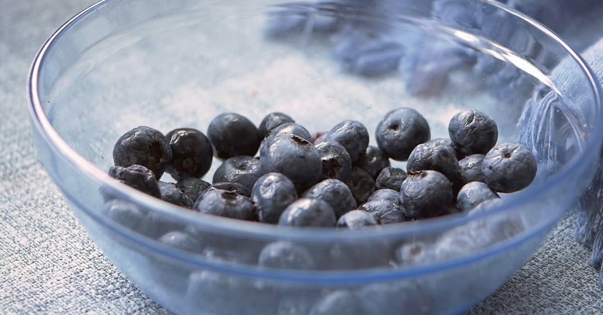 Blueberries Falling in Bowl in Slow Motion Free Stock Video Footage ...