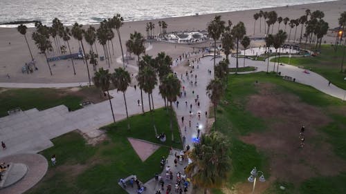Cyclists and Skateboarders at Venice Beach