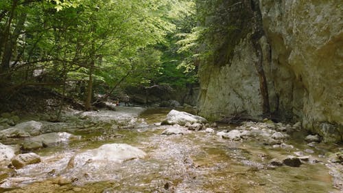 Creek and Rocks