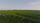 nature drone