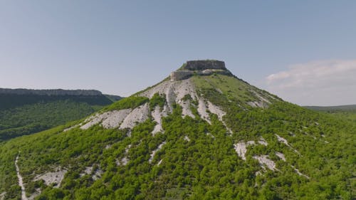 Woods and Mountain Drone Footage