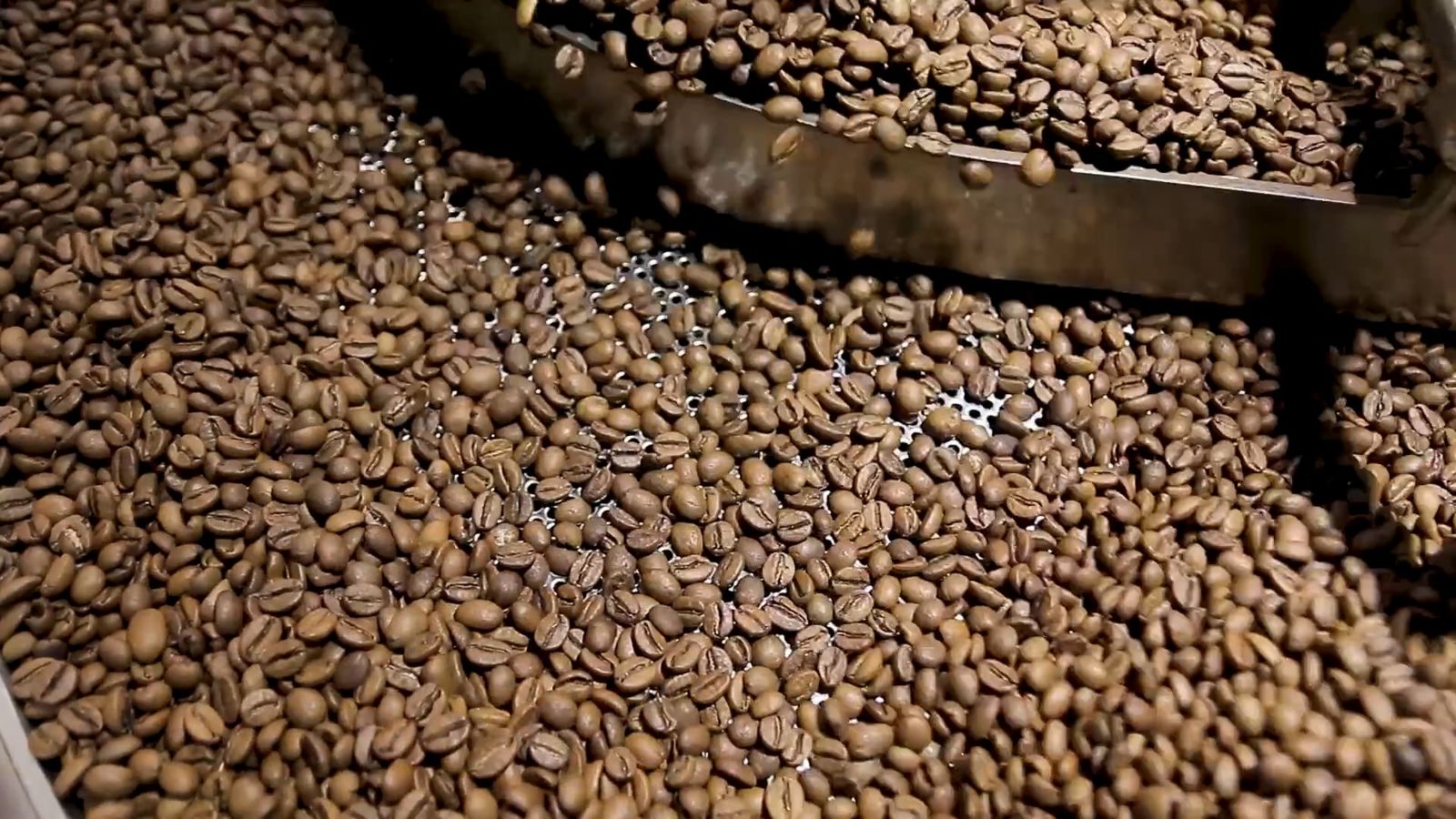 Using Machinery In Cooling Roasted Coffee Beans Free Stock Video ...