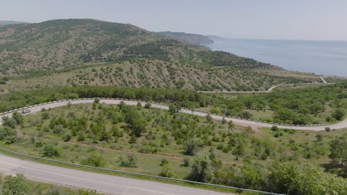 Turn on Road among Trees