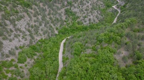 Curvy Road Among Mountains