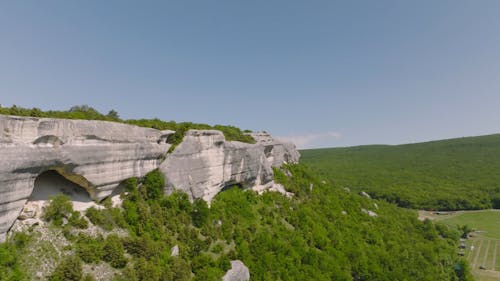 Trees and Geological Structure