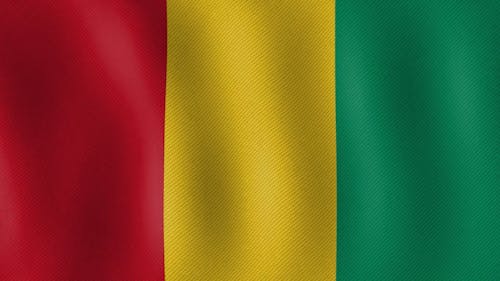 Mali Flag Waving