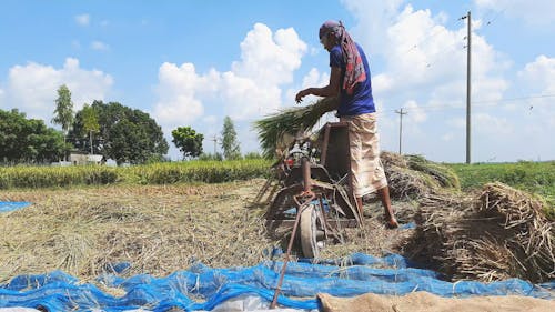 A Man Using a Postharvest Machine in a Farm Field