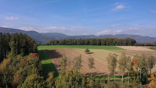 Drone Footage of a Farm Field and Trees 