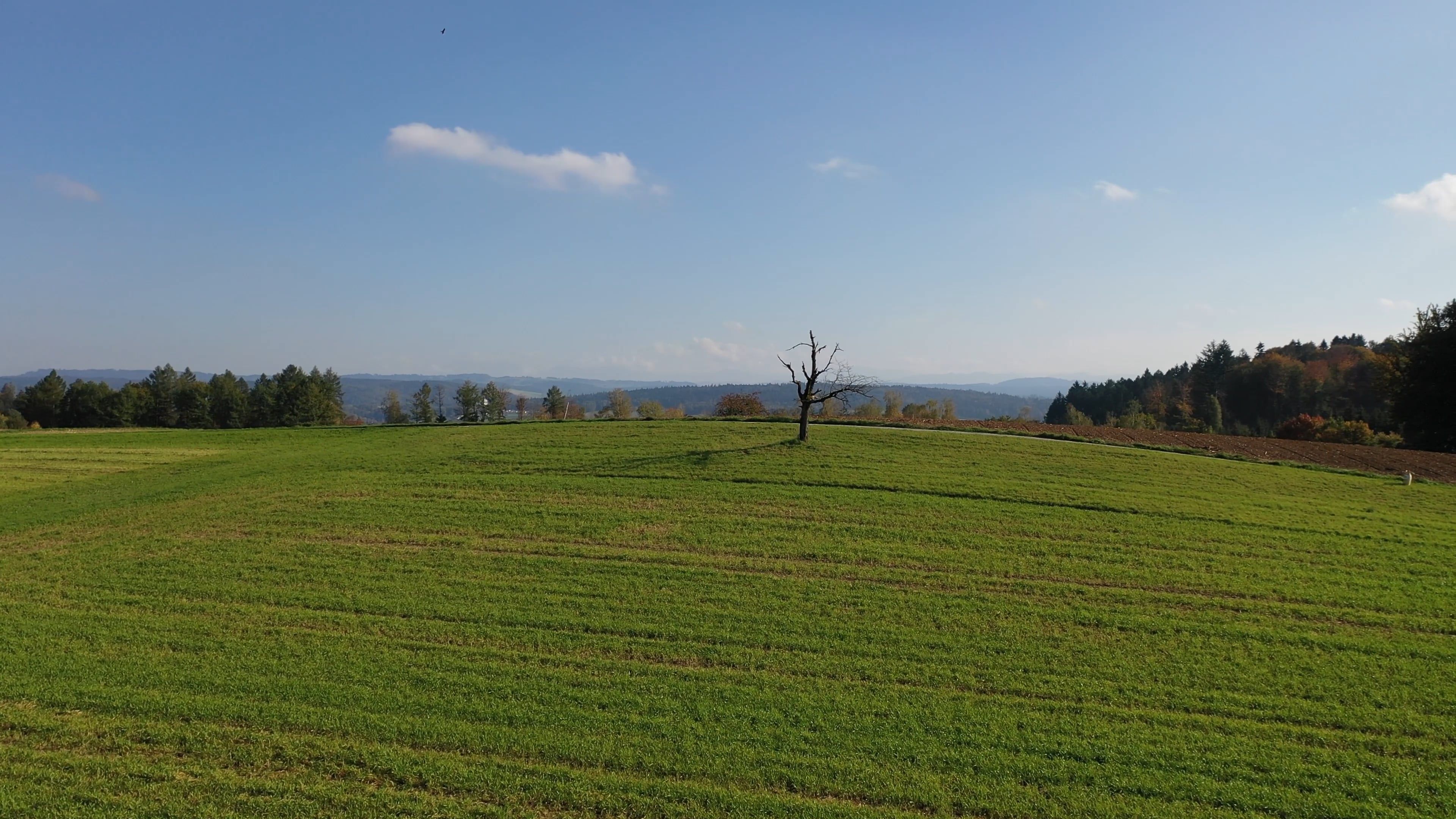 Drone Footage of a Farm Field and Forest Free Stock Video Footage ...