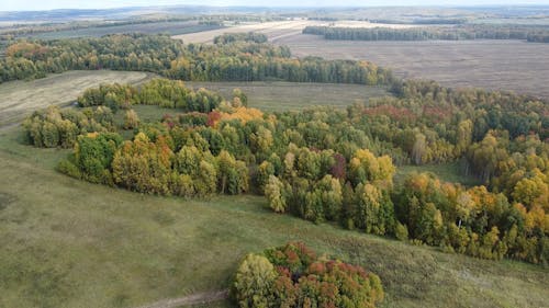 Woodland and Fields