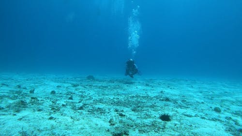 Scuba Diving on Sea Bottom