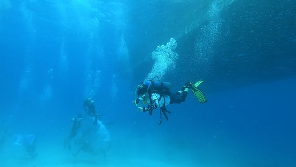 Naked Scuba Diving Videos, Download The BEST Free 4k Stock Video ...