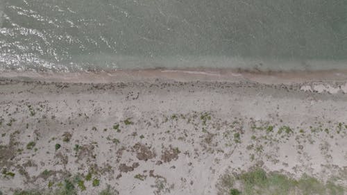 Beach on Sea Shore