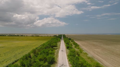Drone Footage of a Road and Tree under the Cloudy Sky