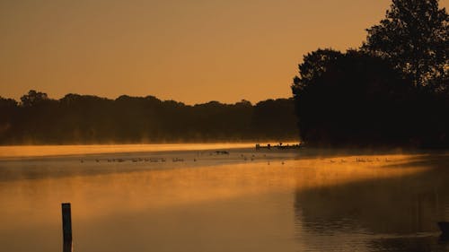 Birds Flying Off Lake and Fisherman on Lake