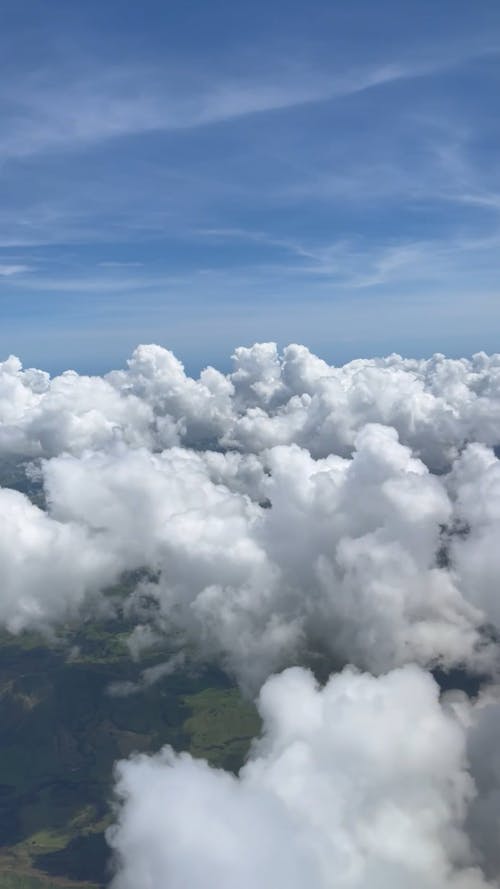 Window Seat View