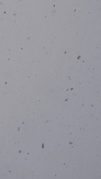下雪高清视频视频素材视频素材