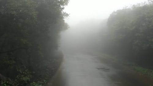 Driving Along A Foggy Road