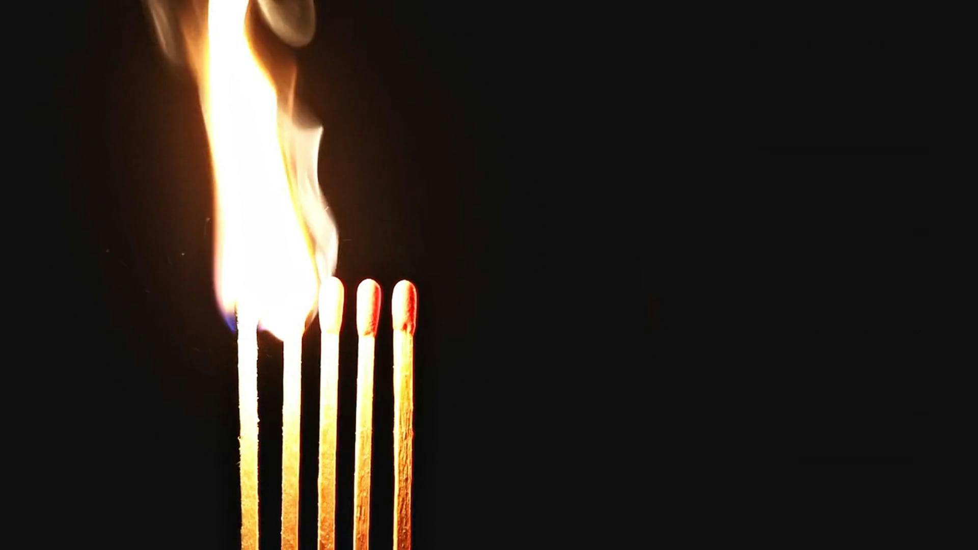 Close up of Burning Matches Free Stock Video Footage, RoyaltyFree 4K