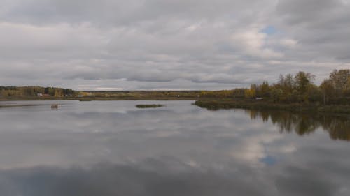 Green Trees Near Body of Water