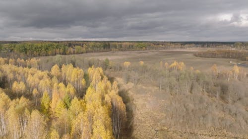 Drone Footage of a Rural Landscape under a Grey Sky