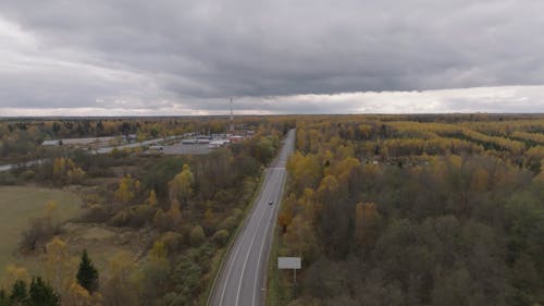 Drone Footage of Forest Trees and a Road under a Grey Sky