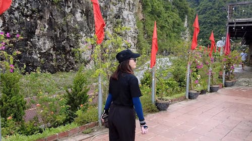 A Woman Walking Near the Green Plants