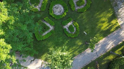 Aerial View of the Park