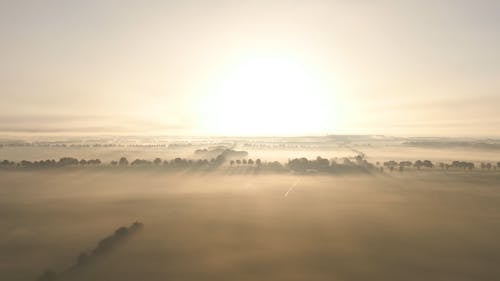 Aerial Footage of Trees on the Field