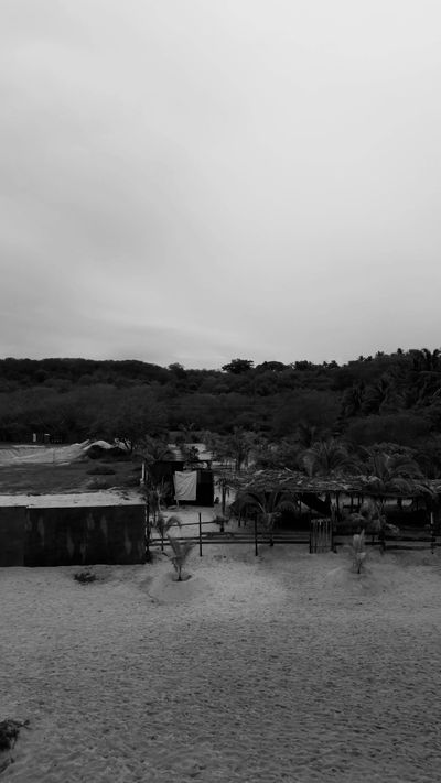 ἐμμανυελ  's nature timelapse video