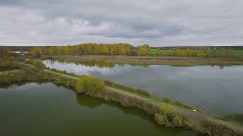 Drone Footage of Wetland