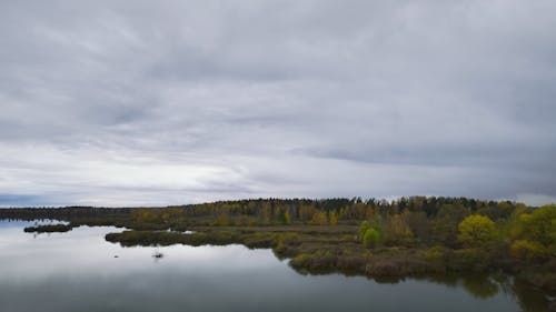Drone Footage of a Marsh and Autumn Trees under a Gloomy Sky
