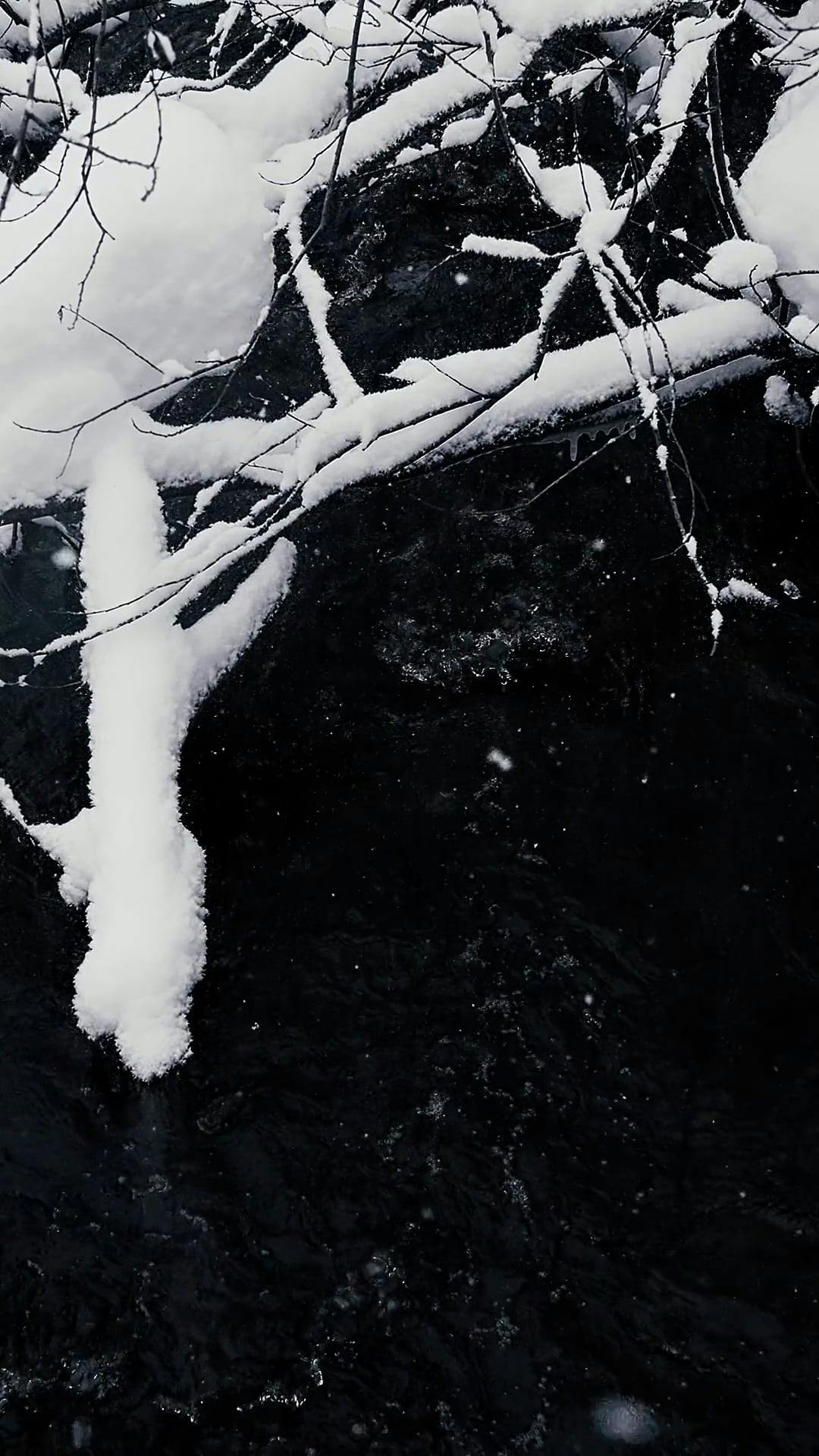 snow covered branches over a flowing creek 14171671