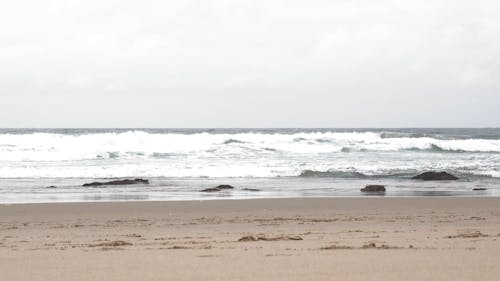 Big Waves Crashing on the Shore