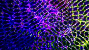 细胞的线粒体高清视频高清视频免费下载视频素材
