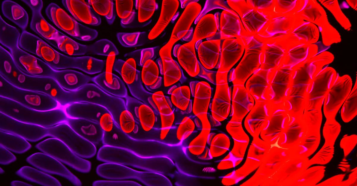 Digital Animation of Dynamic Abstract Shapes Free Stock Video Footage ...