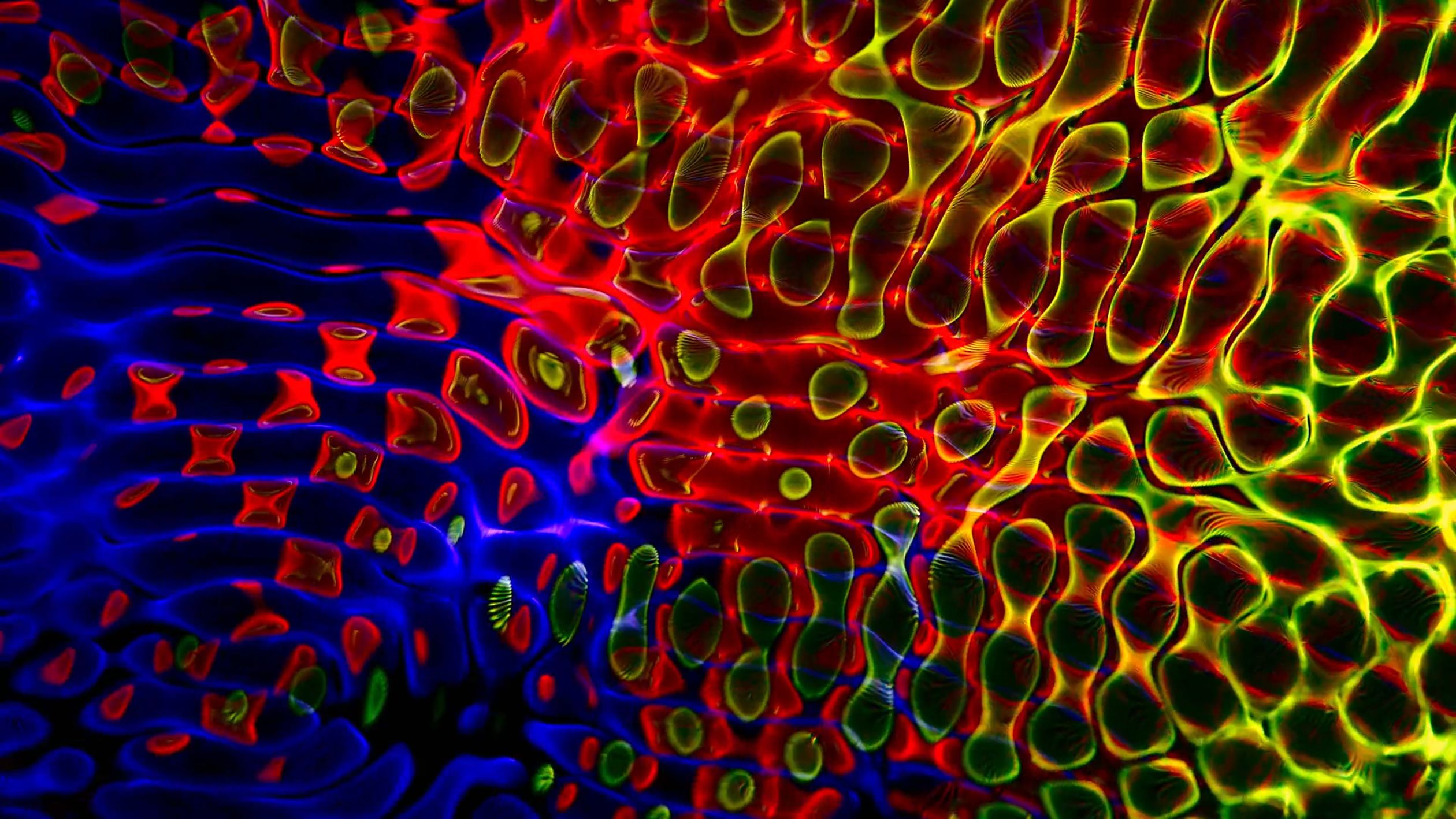 Abstract Texture Animation Digital Animation of a Colorful Abstract Pattern Free Stock Video ...