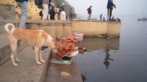 Morning Prayers at Yamuna River Ghat in New Delhi, India