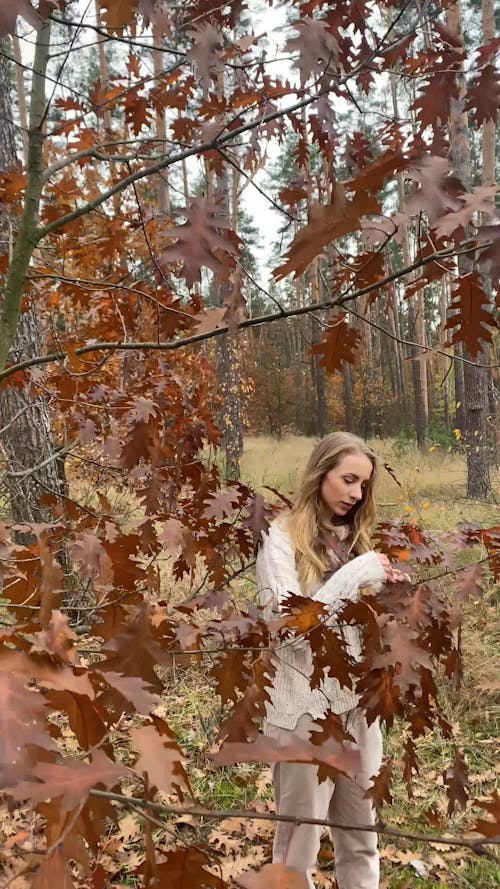 Blonde Woman Posing in Forest in Autumn