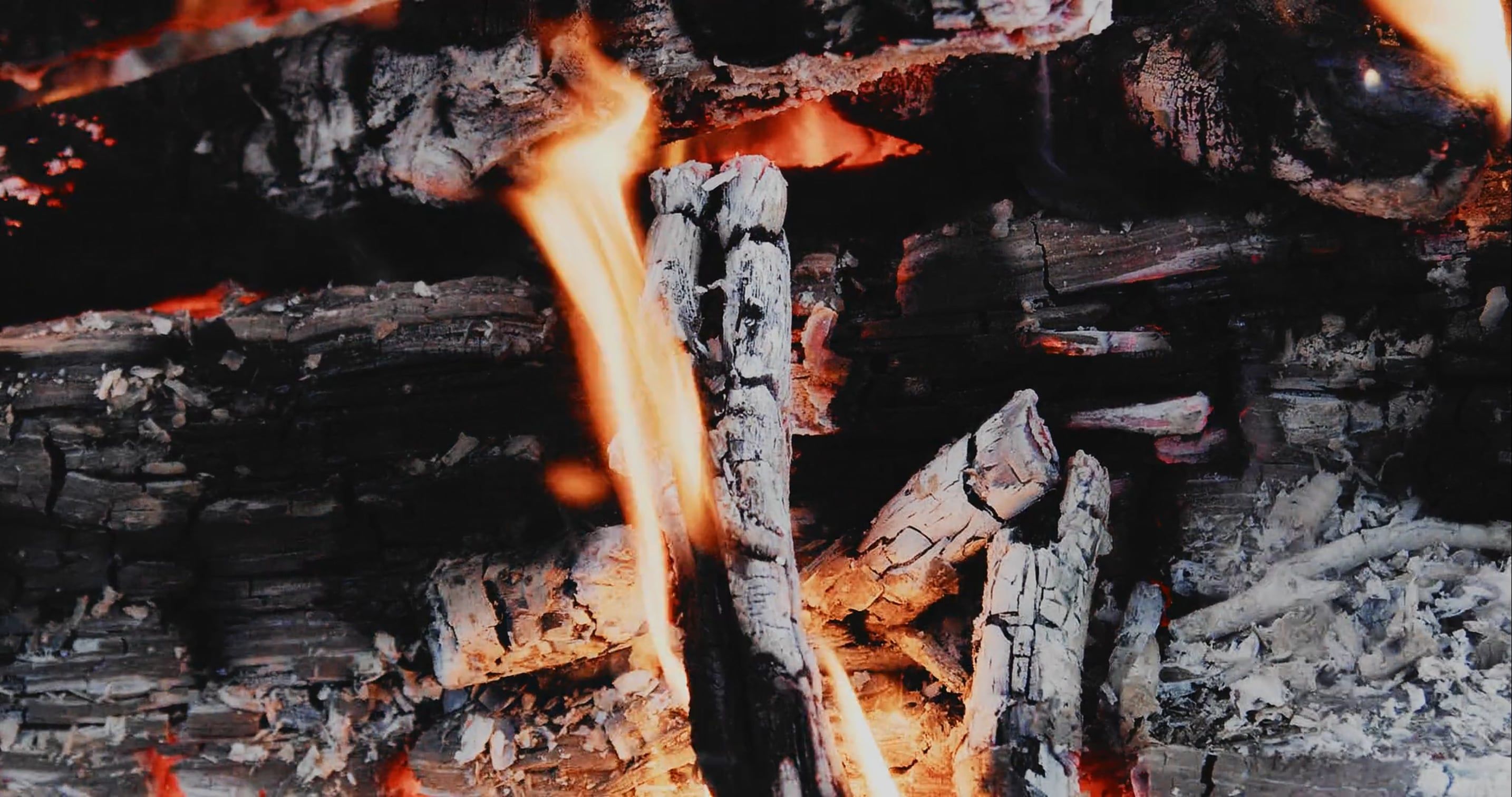 Close up View of Burning Firewood Free Stock Video Footage, Royalty ...