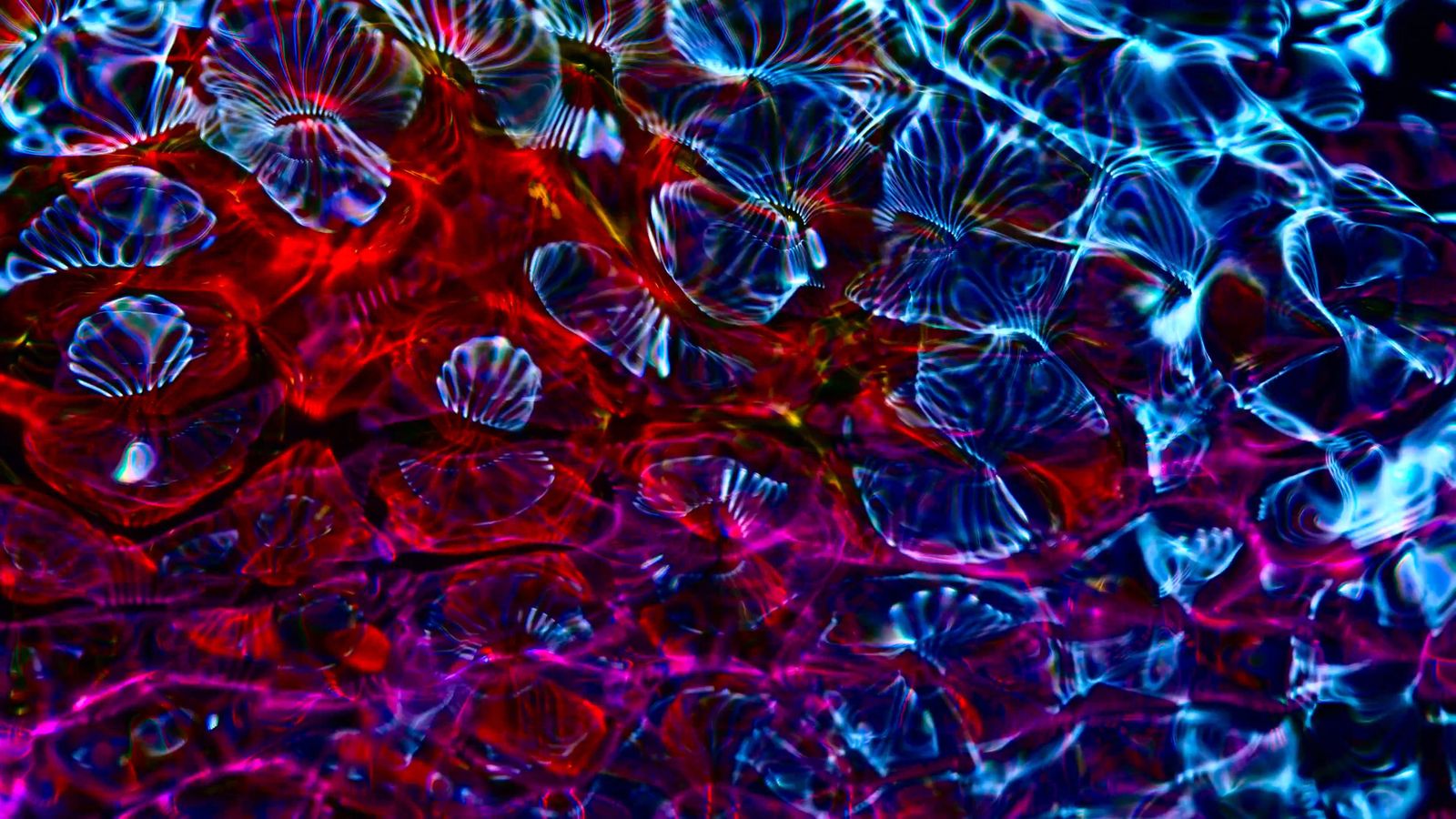 Animated Abstract Art Free Stock Video Footage, Royalty-Free 4K & HD ...