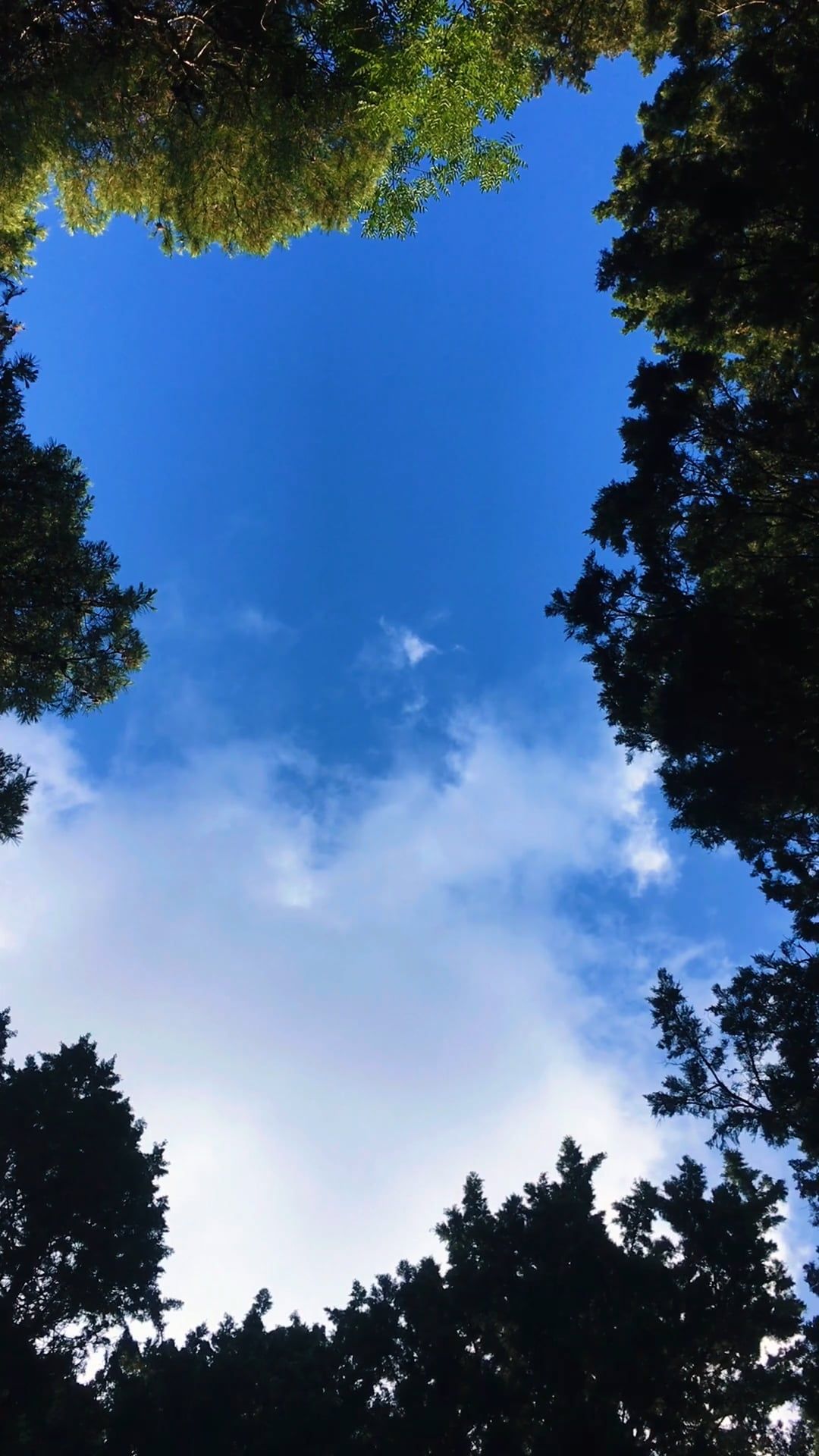Video by Nevzat Kahraman