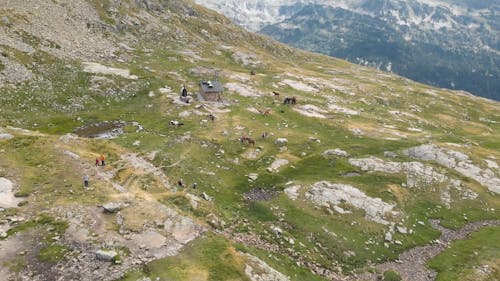 Drone Footage of People and Horses by a House in the Mountains 